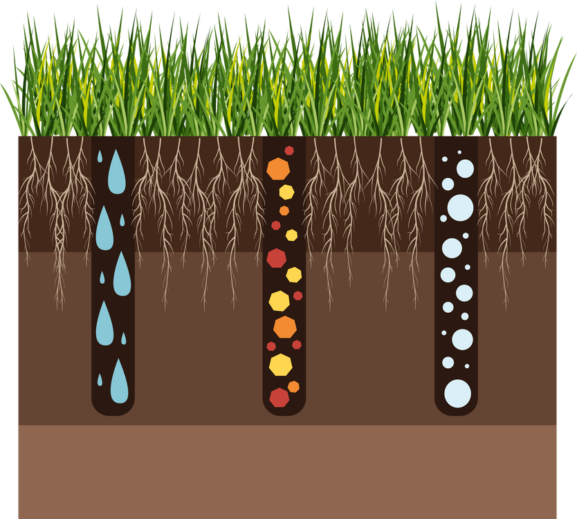 Lawn Process Aeration Scarification